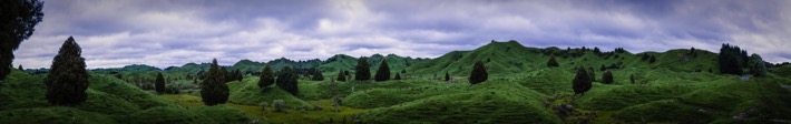 Mt.Damper-