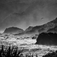 NZ2011-24.jpg